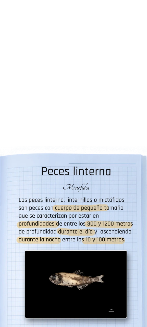 Carpeta Info Mictófidos Mobile
